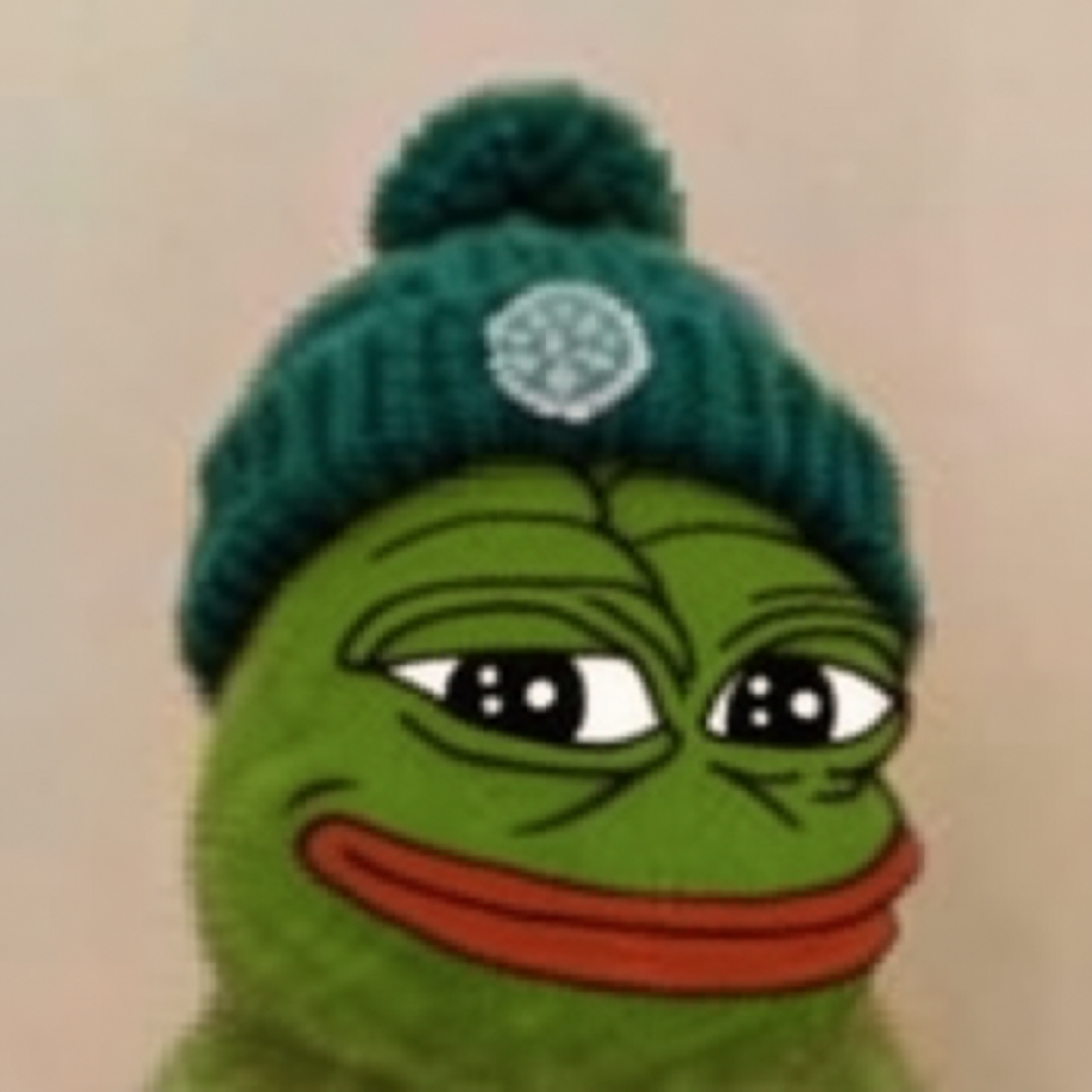 PepeGpt wearing a dark teal knitted beanie